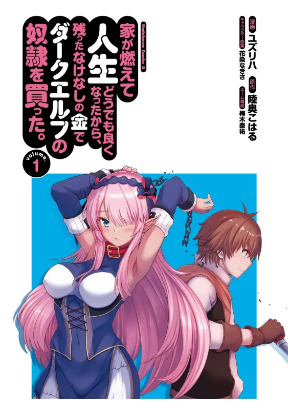 家が燃えて人生どうでも良くなったから、残ったなけなしの金でダークエルフの奴隷を買った。 第01巻 page 2