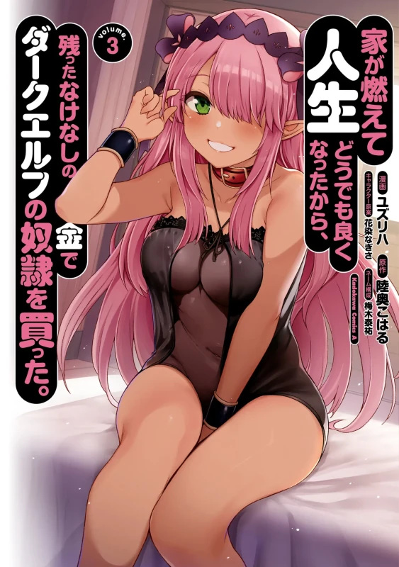 家が燃えて人生どうでも良くなったから、残ったなけなしの金でダークエルフの奴隷を買った。 第03巻 page 1
