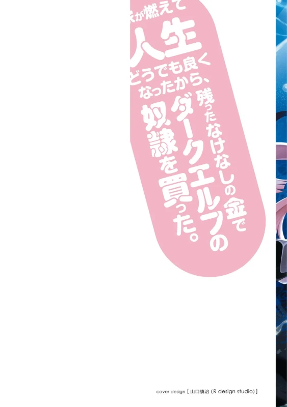 家が燃えて人生どうでも良くなったから、残ったなけなしの金でダークエルフの奴隷を買った。 第04巻 page 2