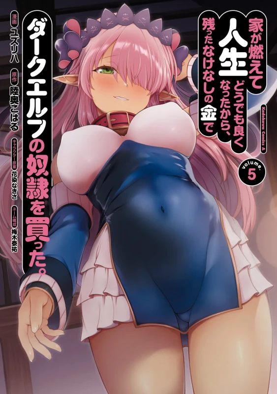 家が燃えて人生どうでも良くなったから、残ったなけなしの金でダークエルフの奴隷を買った。 第05巻 page 1