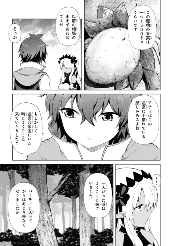 家が燃えて人生どうでも良くなったから、残ったなけなしの金でダークエルフの奴隷を買った。 第05巻 page 19